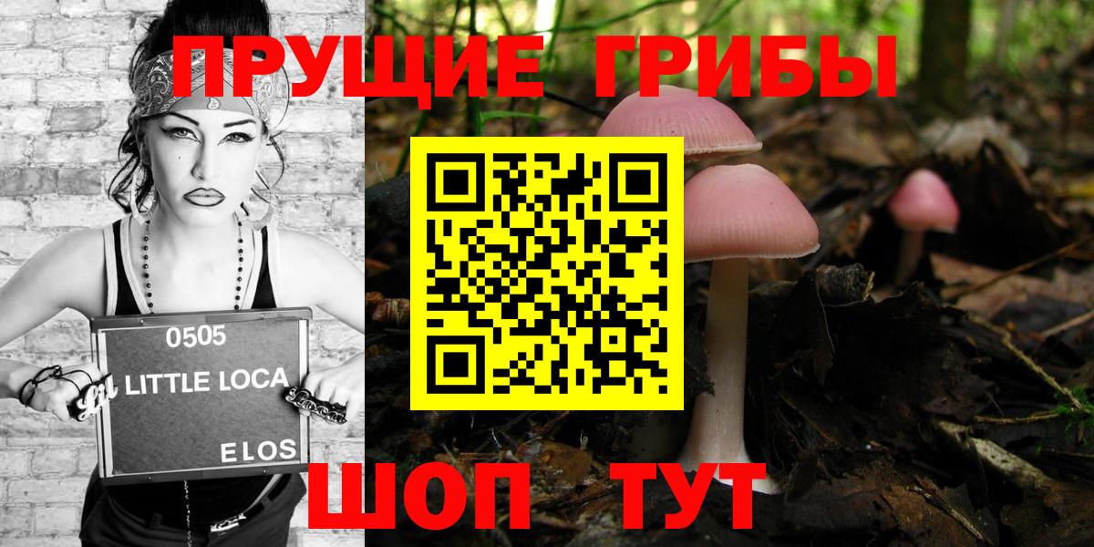 Менделеевск  Галлюциногенные грибы ЛСД  Вход с VPN 