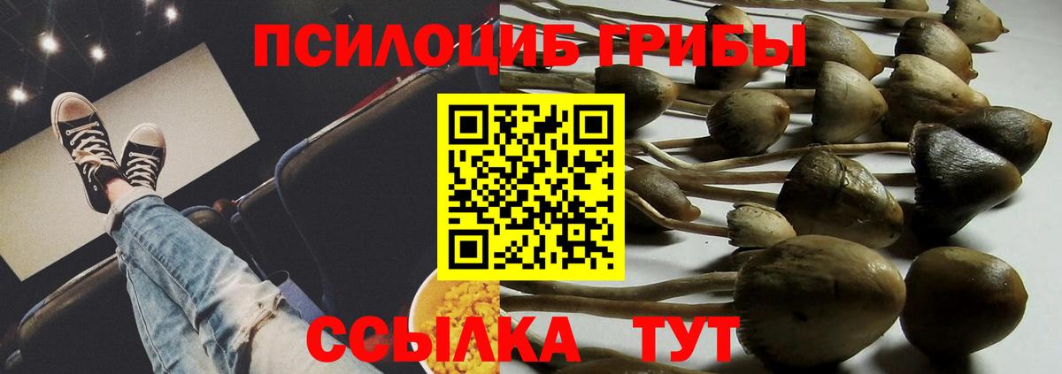 Псилоцибиновые грибы ЛСД Менделеевск